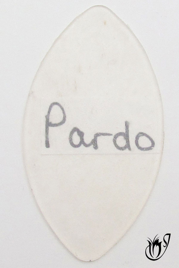 Thin translucent Pardo polymer clay